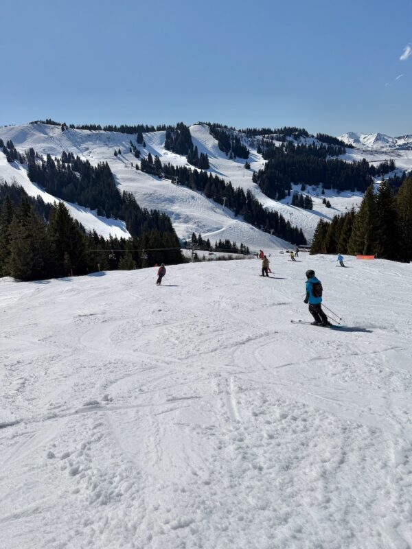 Les Gets, France. Image © PlanetSKI